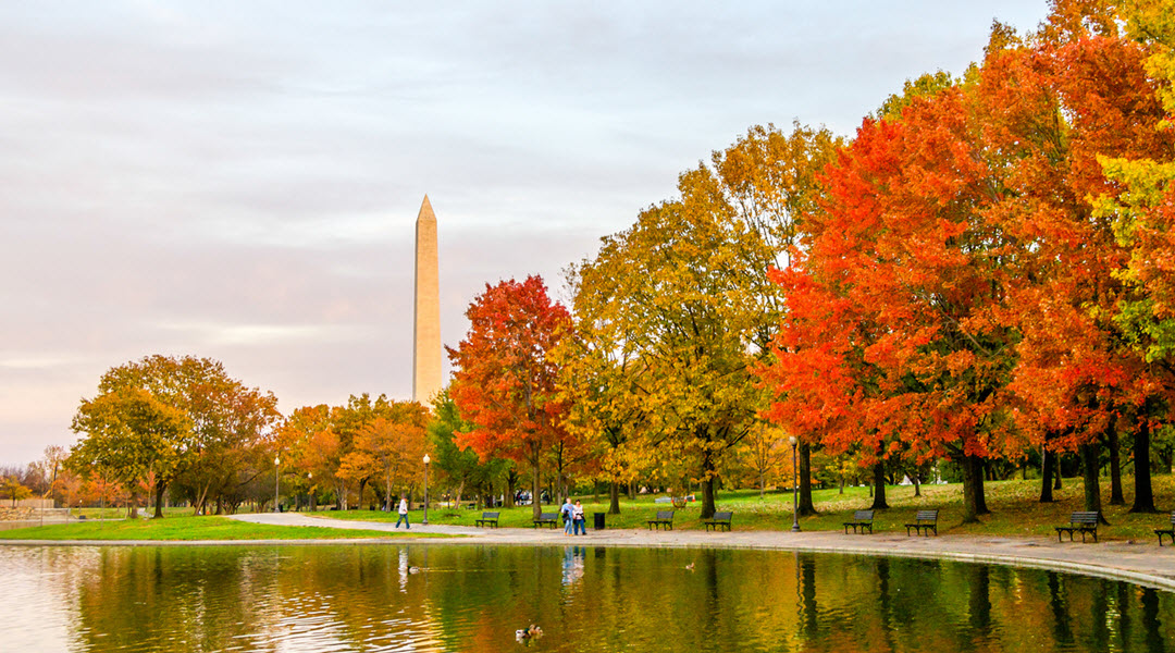 Autumn Colors in Washington D.C.