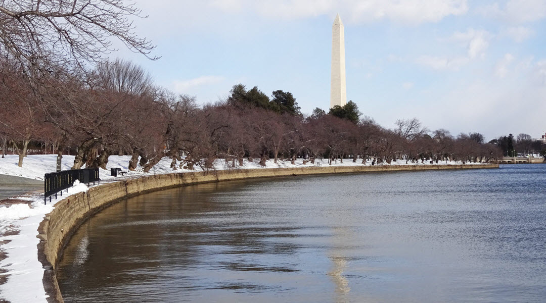 DC in Winter